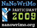 Writing a Novel in a Month (and Other Fun Stuff)