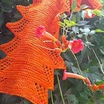 Petal Edge Scarf by Kitchen Sink Dyeworks