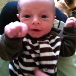 Fist Bump Fist Bump