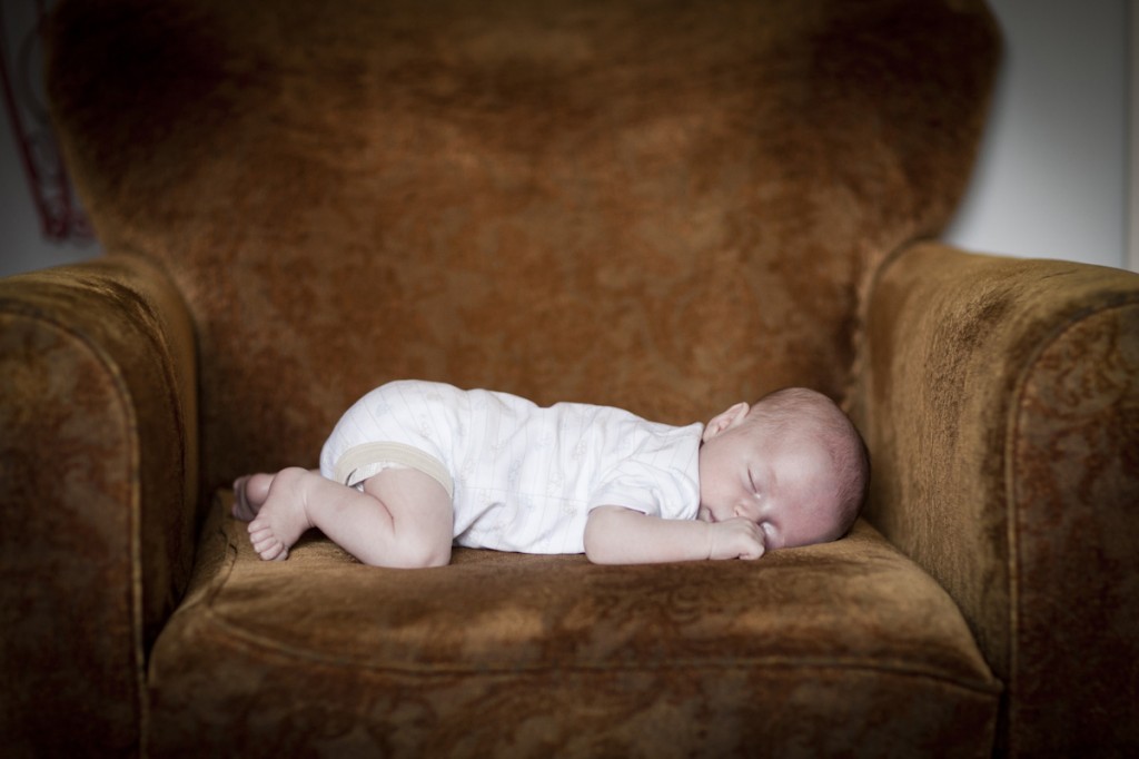 Owen sleeping on chair. Photo credit Miranda Lievers. Owen sleeping on chair. Photo credit Miranda Lievers.