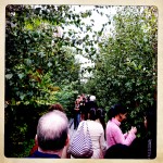 On the High Line