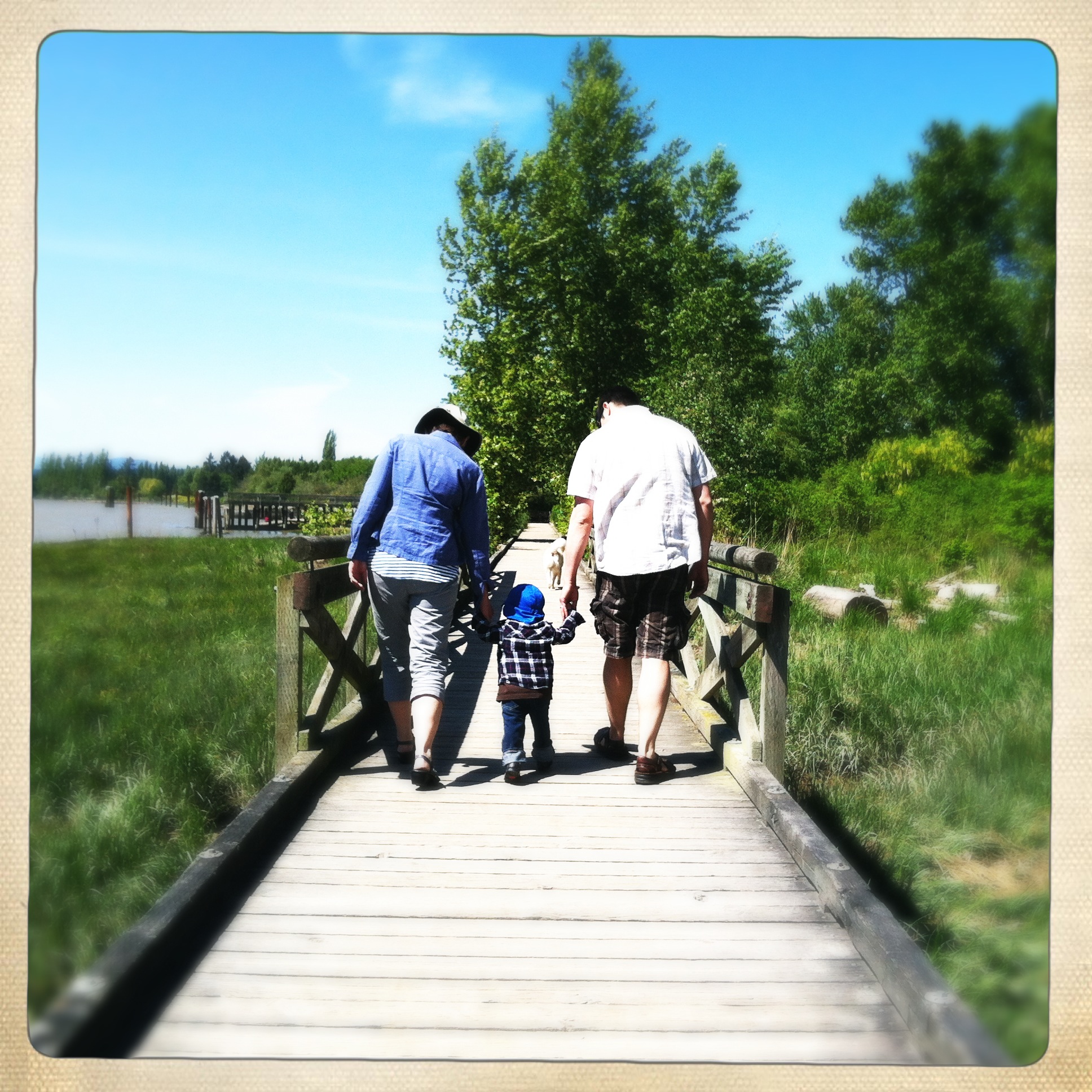 Afternoon at the river