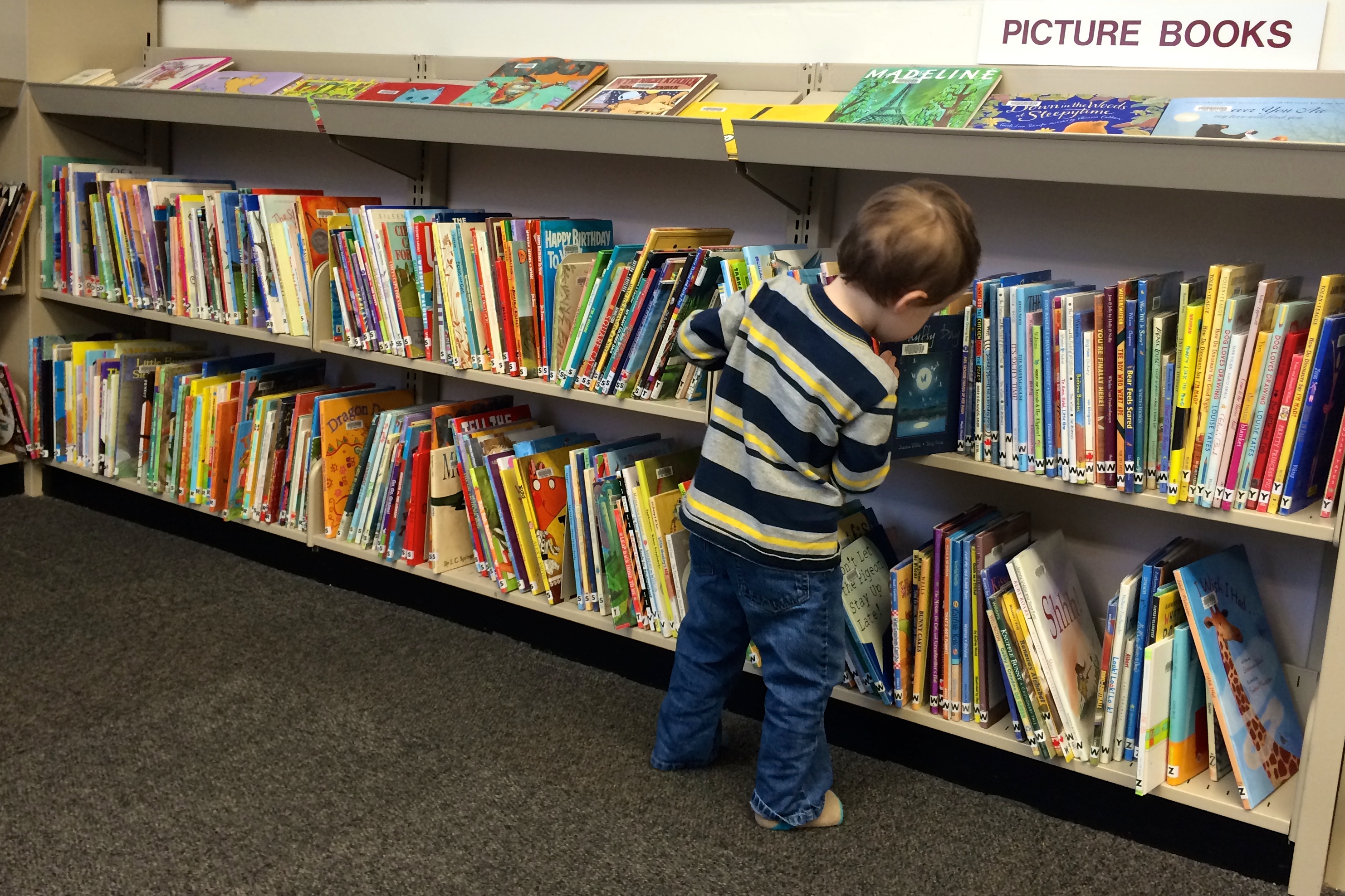 Picture books section at the Dunbar Library.