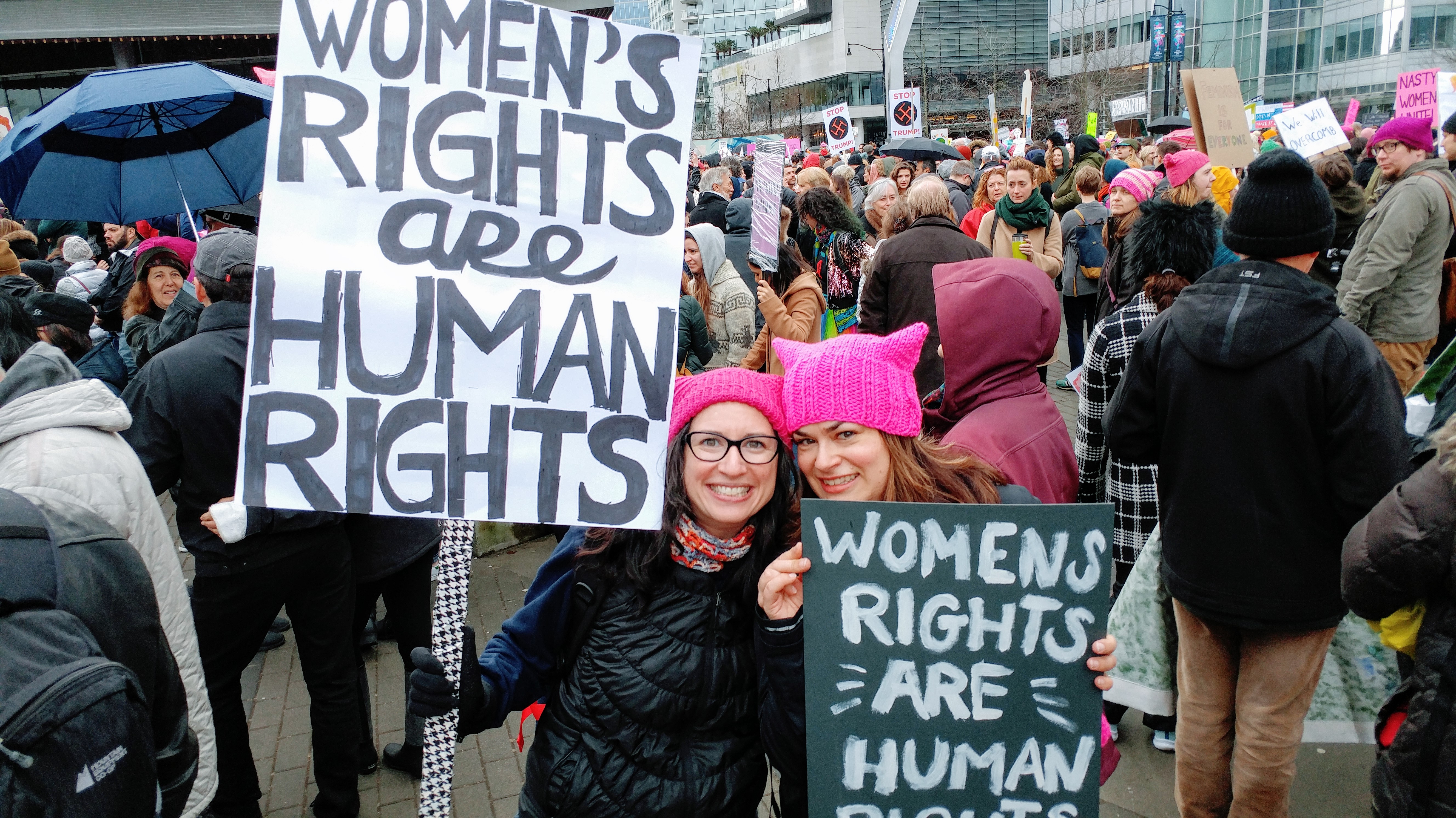Women's Rights Are Human Rights #womensmarch #pussyhat â€“ https://www.kimwerker.com/blog