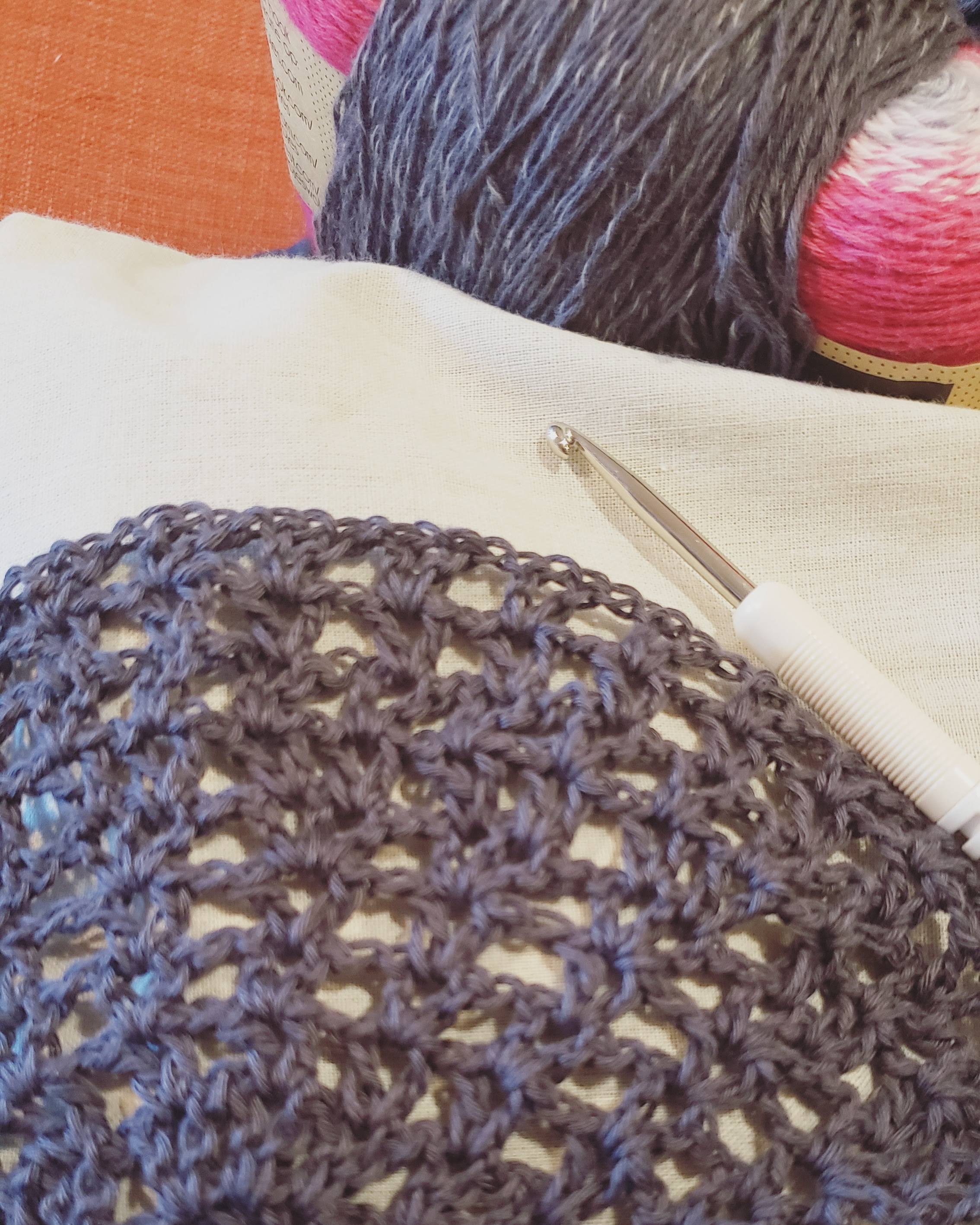 Photo of crocheted pi shawl in progress